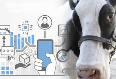 La industria 4.0, que implica la digitalización de los procesos, podría emplearse en sistemas de producción lechera o en las empresas transformadoras. Foto: infocampo.com.ar - Aldakin Industria 4.0, industria 4.0 ganadería, evolución de la industria, industria 4.0 lechería, ganaderos industria, ganaderos industria 4.0, inteligencia artificial en ganadería, inteligencia artificial, avances tecnología ganadería, Tecnología en ganadería, tecnología en el campo, ordeño robotizado, ganadería colombiana, CONtexto ganadero, ganaderos colombia, noticias ganaderas colombia