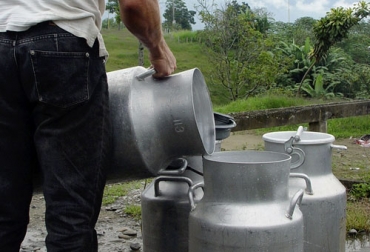 La recolección formal de leche en lo corrido de 2019 ha sido una de las más bajas de los últimos años. Foto: cronicadelquindio.com Acopio leche primer semestre 2019 Colombia, producción leche Colombia, Acopio formal leche Colombia junio 2019, Acopio formal leche, recolección de leche en Colombia, producción leche Colombia junio 2019, producción leche Colombia 2019, acopio formal leche 2018, importaciones de leche en polvo colombia, precio leche cruda Colombia 2019, precio leche cruda Colombia, precio pagado al productor 2019, CONtexto ganadero, ganaderos colombia, noticias ganaderas colombia