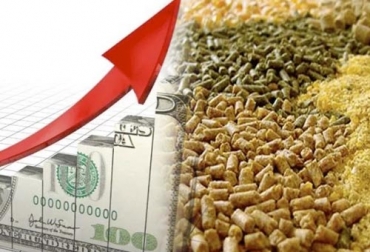 En los próximos días, el incremento de la tasa de cambio del dólar ocasionará un alza en el costo de los concentrados para animales. Foto: casaroycia.com.ar - violetastereo.com Alza dólar 2019, alimentos dólar 2019, costo concentrado ganado, alza materias primeras dólar 2019, precio alimentación ganado, precio concentrado ganado, Materias primas alimentación ganado, materias primas ganado, materias primas ganadería, alimentación ganado, nutrición ganado, nutrición vacas, materias primas alimento vacas, materias primas Colombia, CONtexto ganadero, ganaderos Colombia, noticias ganaderas Colombia