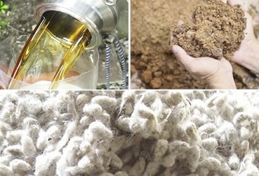 Alternativas como glicerol, torta de tricanter y semilla de algodón pueden servir como suplemento bovino a un costo menor. Foto: cadecap.com - BioD S.A. - Cortesia Alza dólar 2019, alimentos dólar 2019, Costo concentrado ganado, alza materias primeras dólar 2019, precio alimentación ganado, precio concentrado ganado, Materias primas alimentación ganado, materias primas ganado, materias primas ganadería, alimentación ganado, nutrición ganado, nutrición vacas, materias primas alimento vacas, materias primas Colombia, CONtexto ganadero, ganaderos colombia, noticias ganaderas colombia