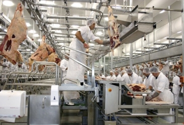 Los mataderos de municipios de cuarta y quinta categoría son los que más dificultades han tenido para implementar el Decreto 1500 de 2007. Foto: agriculturayganaderia.com Decreto 1500 agosto 2019, Decreto 1500 3 años, decreto 1500 2019, Contexto ganadero decreto 1500, Decreto 1500 de 2007 Vigencia 3 años, decreto 1500 de 2007, estatus plantas de sacrificio 2019, vigencia 3 años decreto 1500 plantas de beneficio, demoras decreto 1500, estado plantas de sacrificio del país, Invima, panorama plantas de sacrificio, CONtexto ganadero, ganaderos colombia, noticias ganaderas colombia