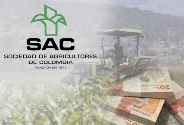 La reducción en el presupuesto sería por el orden de $148 mil millones. Foto: colombiamegusta.com - inforural.com.mx - sac.org.co Ganadería, ganadería colombia, Ganadería colombiana, CONtexto ganadero, noticias ganaderas, noticias ganaderas colombia, presupiesto agro, presupuesto agro 2020, reduccion inversion agro, reduccion presupuesto agro, preocupacion reduccion presupuesto, sector agrícola, ganaderos, ganaderos colombia