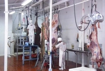 En la actualidad, hay 133 establecimientos habilitados plenamente por el Invima, de los cuales 71 son frigoríficos. Foto: suversion.com.co Decreto 1500 septiembre 2019, decreto 1500, decreto 1500 2019, Invima decreto 1500, Contexto ganadero decreto 1500, Decreto 1500 de 2007 Vigencia 3 años, decreto 1500 de 2007, estatus plantas de sacrificio 2019, vigencia 3 años decreto 1500 plantas de beneficio, demoras decreto 1500, estado plantas de sacrificio del país, Invima, panorama plantas de sacrificio, CONtexto ganadero, ganaderos colombia, noticias ganaderas colombia