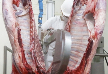 En los últimos años se han dejado de consumir cerca de 500 mil canales de res al año. Foto: frigotun.com Sacrificio bovino 2019, sacrificio colombia, sacrificio bovino Colombia, sacrificio, sacrificio agosto 2019, sacrificio ganado bovino Colombia, encuesta sacrificio ganado 2019, Cifras sacrificio bovino Colombia junio 2019, Reducción sacrificio legal bovino, baja sacrificio legal bovino Colombia, Cifras sacrificio bovino Colombia, sacrificio bovino Colombia 2019, sacrificio bovino Colombia fedegán, CONtexto ganadero, ganaderos colombia, noticias ganaderas colombia
