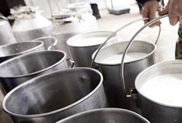 El 2019 no ha sido el mejor año para la recolección formal de leche por unas cifras incluso más bajas que las de hace 5 años. Foto: unipymes.com acopio, leche, compra leche, Acopio leche septiembre 2019 Colombia, producción leche, Acopio formal leche Colombia septiembre 2019, Acopio formal leche, recolección de leche en Colombia, producción leche Colombia septiembre 2019, producción leche Colombia 2019, acopio formal leche 2019, importaciones de leche en polvo colombia, precio leche cruda Colombia 2019, precio pagado al productor 2019, CONtexto ganadero, ganaderos colombia, noticias ganaderas colombia