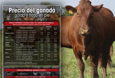 Así se comportó el precio de los animales en pie durante la semana anterior. Foto: CONtexto ganadero. Precio del ganado, precio del ganado en colombia, ganado colombia, precio ganado gordo, precio ganado flaco, precio hembras, precio bovinos, precio bovinos colombia, bolsa mercantil de colombia, subastas, subastas colombia, asosubastas, ganadería, ganadería colombia, noticias ganaderas, noticias ganaderas colombia, contexto ganadero,