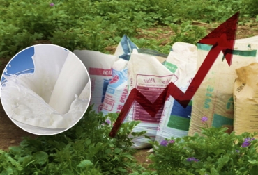 Aunque varios ganaderos afirman haber recibido un mejor pago en 2019, los costos de concentrados, medicamentos y equipos de ordeño han subido mucho más. Foto: conspiraciones1040.blogspot.com - Perubiotec Precio leche Colombia 2019, Alza dólar 2019, costo insumos importados, concentrados, aumento precio leche, aumento precio dólar, alza tasa de cambio, leche dólar, precio pagado al productor, costo concentrados, costo maíz Colombia, costo medicamentos, materias primas ganadería, alimentación ganado, nutrición ganado, nutrición vacas, materias primas alimento vacas, materias primas Colombia, CONtexto ganadero, ganaderos colombia, noticias ganaderas colombia