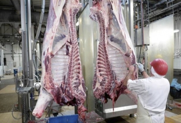 Aún restan 394 frigoríficos que todavía no cuentan con la acreditación total del cumplimiento del Decreto 1500. Foto: vanguardia.com Decreto 1500 octubre 2019, Contexto ganadero decreto 1500, decreto 1500 2019, Decreto 1500 octubre 2019, estatus decreto 1500 2019, Decreto 1500 de 2007 Vigencia 2 años, decreto 1500 de 2007, estatus plantas de sacrificio 2019, vigencia 3 años decreto 1500 plantas de beneficio, demoras decreto 1500, estado plantas de sacrificio del país, Invima, panorama plantas de sacrificio, CONtexto ganadero, ganaderos colombia, noticias ganaderas colombia