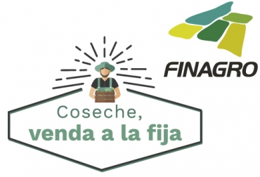 Finagro trabaja en el programa de agricultura por contrato que adelante el Ministerio desde 2018. Foto: finagro.com.co finagro, Finagro 2019, cosecha venda a la fija, Finagro pequeños productores, Finagro Líneas de crédito, finagro créditos, Finagro A toda máquina, Finagro sector ganadero, Finagro ayuda poco a ganaderos, Finagro sector pecuario, finagro créditos 2019, línea crédito Finagro 2019, Finagro crédito A toda máquina 2019, finagro créditos 2019 sector pecuario, Ayudas sector pecuario Colombia, CONtexto ganadero, ganaderos colombia, noticias ganaderas colombia