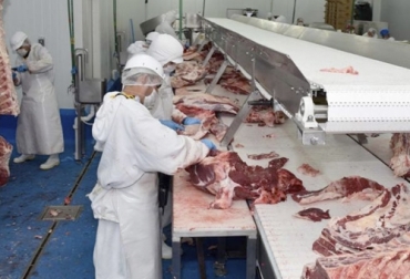 El incremento del beneficio de cerdos, ovejas y cabras se hizo más notorio en el último reporte del Dane. Foto: debate.com.mx Sacrificio tercer trimestre 2019, sacrificio colombia, sacrificio porcino, sacrificio caprino, sacrificio ovino, sacrificio, beneficio animal, sacrificio cerdos, sacrificio ovejas, sacrificio cabras, sacrificio septiembre 2019, sacrificio ganado bovino Colombia, encuesta sacrificio ganado 2019, Cifras sacrificio Colombia septiembre 2019, Reducción sacrificio legal, Cifras sacrificio Colombia, sacrificio bovino Colombia 2019, CONtexto ganadero, ganaderos colombia, noticias ganaderas colombia