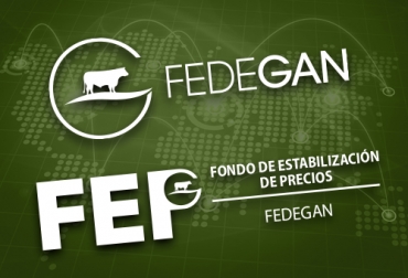 Colombia puede enviar carne y ganado a 18 países gracias al trabajo conjunto entre Fedegán, FEP y entidades del Gobierno como el Ministerio de Agricultura, el Ministerio de Comercio Exterior, el ICA, el Invima, entre otras. Foto: CONtexto ganadero Gestión del FEP, Fondo de Estabilización de Precios, exportación carne Colombia China, carne, China, Exportaciones de carne bovina de Colombia 2019, exportaciones ganado carne Colombia, exportaciones de carne bovina en 2019, exportación, DANE, fedegan, Irak, Líbano, rusia, noticias de ganadería, Egipto, Indonesia, Colombia, tasa de cambio, precio dólar Colombia, CONtexto ganadero, ganaderos colombia, noticias ganaderas colombia