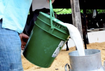 Para la productora, los costos de producción de leche son muy elevados y por eso ha insistido en un mejor pago del líquido. Foto: vanguardia.com Nómina, costos salariales ganadería, precio de leche, altos costos de producción, costos producción leche, impuestos, predial, CREE, impuesto a la renta, ganadería atlántico, Pago a los trabajadores, empresas ganaderas, Pago de nómina a empleados, Empleados Fincas ganaderas, Costos de Producción, ganadería de leche, ganadería de carne, Lechería especializada, CONtexto ganadero, ganaderos colombia, noticias ganaderas colombia
