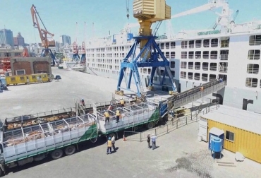 “En el embarque de los bovinos hemos tenido la inspección permanente del ICA”, dijo Miguel Dulcey. Foto: Youtube Exportación a IRAK, sudoeste de ASIA, bovinos vivos, Cebú Brahman, calidad, costa Caribe, inspección, ICA, bienestar animal, demanda de mercado, precio del dólar, noticias de ganadería colombiana, Ganadería, ganadería colombia, noticias ganaderas, CONtexto ganadero