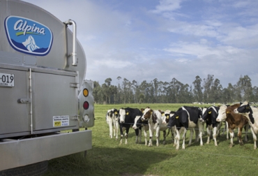 Alpina genera quincenalmente un informe sobre bacterias, células somáticas, grasa, proteína, y sólidos de la leche. Foto: qa.alpina.com Calidad leche, calidad composicional de la leche, calidad higiénica, calidad leche Alpina, calidad leche Colombia, productores leche, ganaderos, Leche mezclada con lactosueros y grasas, leche barata, butter oil, lactosueros, leche mezclada con butteroil, leche mezclada con grasa animal o vegetal, leche barata colombia, lactosueros para bajar precio de leche, prácticas para bajar precio de leche en Colombia, CONtexto ganadero, ganaderos colombia, noticias ganaderas colombia