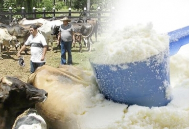 Los ganaderos reclaman a la industria que compren el producto nacional en lugar de importarlo en tan altas cantidades. Foto: Fyrtex.com - extra.com.co importaciones leche polvo Colombia 2020, contingente leche en polvo Estados Unidos 2020, importaciones lácteos colombia noticias, cifras importaciones lácteos colombia, importaciones leche colombia industria, Importaciones de leche en polvo, importaciones de leche en polvo colombia, importaciones de leche en polvo aranceles, importaciones de leche en polvo tlc, CONtexto ganadero, ganaderos colombia, noticias ganaderas colombia
