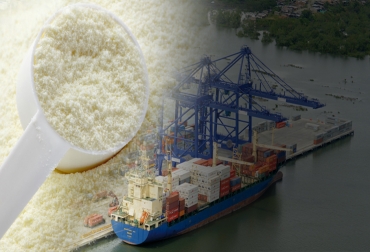 En el último lustro, el ritmo de importaciones de leche en polvo alcanzó su punto más alto en 2016, bajó 2 años pero volvió a subir en 2019. Foto: agritotal.com - sprbun.com importaciones leche polvo Colombia 2020, contingente leche en polvo Estados Unidos 2020, histórico importaciones leche en polvo, importaciones lácteos colombia noticias, cifras importaciones lácteos colombia, importaciones leche colombia industria, importaciones de leche en polvo colombia, importaciones de leche en polvo aranceles, importaciones de leche en polvo tlc, CONtexto ganadero, ganaderos colombia, noticias ganaderas colombia
