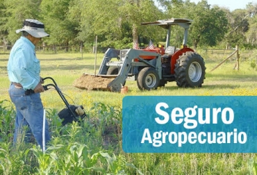 El seguro agropecuario resulta de utilidad para los ganaderos, quienes pueden recibir hasta $7 millones por cabeza de ganado que resulte afectada. Foto: minagricultura.gov.co seguro agropecuario, póliza, subsidio, Heladas, finagro, Ganadería, bovinos, ganadería colombia, noticias ganaderas colombia, CONtexto ganadero