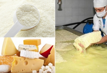 Entre enero y noviembre de 2019, entraron cerca de 58 mil toneladas de productos lácteos del extranjero, una cifra similar a la de todo 2016. Foto: asoleche.org - quesoteca.com - agritotal.com Importaciones lácteos 2019, Importaciones lácteos noviembre 2019, importaciones lácteos colombia 2019, importaciones leche polvo Colombia 2019, importaciones lácteos colombia noticias, cifras importaciones lácteos colombia, importaciones leche colombia industria, minagricultura importaciones leche colombia, importaciones de leche en polvo colombia, exportaciones lácteos Colombia, CONtexto ganadero, ganaderos colombia, noticias ganaderas colombia