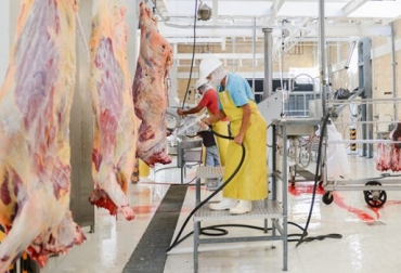 Los últimos 3 años han mantenido un comportamiento similar en cantidad de reses faneadas, tras la entrada en vigencia del Decreto 1500 en 2016. Foto: laopinion.com.co Sacrificio de ganado 2019, sacrificio bovino 2019, sacrificio diciembre 2019, cifras sacrificio, sacrificio legal de bovinos, sacrificio formal, sacrificio colombia, sacrificio bovino Colombia, sacrificio, encuesta sacrificio ganado 2019, Cifras sacrificio bovino Colombia 2019, Reducción sacrificio legal bovino, baja sacrificio legal bovino Colombia, Cifras sacrificio bovino Colombia, sacrificio bovino Colombia 2019, sacrificio bovino Colombia fedegán, CONtexto ganadero, ganaderos colombia