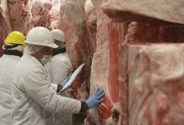 Pese al incremento de la demanda, la oferta de productos cárnicos y lácteos es normal en todo el territorio nacional. Foto: noticiasdeagro.com abastecimiento, alimentos, carne, leche, frigorífico, sacrificio, demanda, productos, res, cerdo, pollo, huevo,insumos, transporte, cuarentena, pescado, producción, ganadería, ganadería colombia, noticias ganaderas colombia, contexto ganadero.