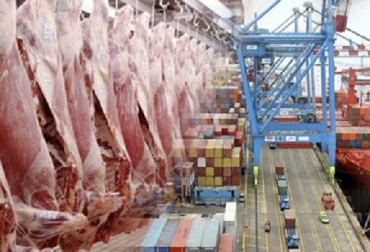 Un balance positivo presentaron las exportaciones colombianas de carne en el primer bimestre del año. Foto: CONtexto Ganadero exportación, carne, bovina, ganaderos, dólar, mercados, ICA, Minagricultura, gremio, fedegan, Invima, Arabia Saudita, Emiratos Árabes Unidos, Egipto, Jordania, Líbano, Libia, Hong Kong, Vietnam, rusia, expoganados, Ganadería, ganadería colombia, noticias ganaderas colombia, CONtexto ganadero