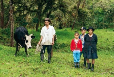 La medida busca beneficiar a cerca de 500 mil adultos mayores en condición de vulnerabilidad y aliviar la carga financiará de los trabajadores y productores del campo, entre otros, Foto: Fedegán Colombia, COVID 19, Ministerio de Agricultura, Decreto 486 de marzo 27 de 2020, Beneficio económico, trabajadores y productores del campo mayores de 70 años, sistema de abastecimiento de productos agropecuarios, seguridad alimentaria, intereses corrientes, intereses de mora, Banco Agrario de Colombia, Fondo para el Financiamiento del Sector Agropecuario, Fondo Agropecuario de Garantías, Líneas Especiales de Crédito