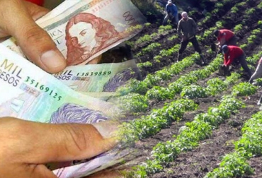 La proyección del Banco evidencia que algunos sectores se verían seriamente afectados por cuenta del virus. Foto: colombia.com - confidencialcolombia.com Ganadería, ganadería colombia, noticias ganaderas, noticias ganaderas colombia, CONtexto ganadero, Banco Agrario, efectos covid-19, agro, agro Colombia