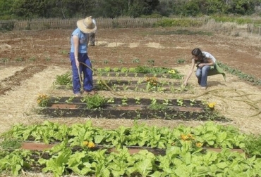 A través del Banco Agrario y con el apoyo de Innpulsa Colombia y del Ministerio de Comercio, Industria y Turismo se apoyará con crédito barato a emprendedores del agro. Foto: eldiario.es crédito, emprendedores, MinComercio, Innpulsa, Fontur, Banco Agrario, cadena, agroindustria, fondo de garantías, fondo agropecuario, tasa de interes, flujo de caja, DTF, apalancamiento, portales, Ganadería, ganadería colombia, noticias ganaderas colombia, CONtexto ganadero