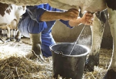 “Mientras el precio pagado al producto aumenta al 8 %, el valor de los insumos lo hace en 19 %”, señala ganadero. Foto: CONtexto ganadero. Incremento del precio del dólar, altos costos de insumos, altos costos ganaderos, ascuas, incremento de tasa de cambio, aumento del precio pagado al productor, COVID 19, difícil coyuntura, aumento de consumo de leche, noticias de ganadería colombiana, CONtexto ganadero.