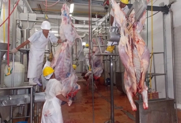Debemos tomar medidas extremas en la industria cárnica para proteger a nuestros empleados y a nuestras plantas de procesamiento de la introducción del virus. Foto: lanacion.com.co Coronavirus, covid, 19, industria cárnica, impactos en la industria cárnica, consumo de carne, demanda de carne, empelo, desempleo, bioseguridad, noticias ganaderas de colombia,