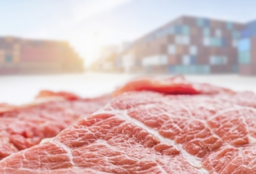 En el primer trimestre de 2020, la región Mena (Medio Oriente) se convirtió en el principal destino de la carne colombiana. Foto: freepik.es/onlyyouqj - freepik.es/whatwolf Exportación carne 2020, exportaciones carne primer trimestre 2020, exportación de bovinos Colombia, Ganadería, ganadería colombia, exportación carne bovina, carne vacuna, economía internacional, comercio internacional, total exportaciones carne Colombia, coronavirus Colombia, coronavirus, COVID-19, cuarentena, noticias ganaderas, noticias ganaderas colombia, CONtexto ganadero
