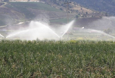 La meta en materia de riego que tiene el gobierno es bastante ambiciosa si se tiene en cuenta que el plan anunciado es inferior a las mil hectáreas. Foto: Gobernación del Tolima distritos de riego, Minagricultura, Contraloría, hectáreas, Agencia Nacional de Desarrollo Rural, economía campesina, drenaje, agricultura familiar, pequeños productores, agricultura, Upra, asistencia técnica, ganadería, ganadería colombia, noticias ganaderas colombia, contexto ganadero