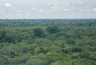 La deforestación en Colombia se redujo en 2019 según el Ministerio de Ambiente, pese a lo cual el tema continúa generando preocupación a las autoridades. Foto: minambiente.gov.co deforestación, reforestación, Agua, MinAmbiente, IDEAM, alerta, región Amazónica, Guaviare, caquetá, Meta, AMBIENTE, emprendimiento, monitoreo, Ganadería, ganadería colombia, noticias ganaderas colombia, CONtexto ganadero