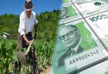 Las administraciones departamentales ven en el fortalecimiento del campo una solución a la crisis que deja la COVID-19. Foto: tvnoticias.com.co Ganadería, ganadería colombia, noticias ganaderas, noticias ganaderas colombia, CONtexto ganadero, Reactivación económica, agro reactivación económica, campo, campo colombia, agro Colombia, economía agro colombia, reactivación agro economía