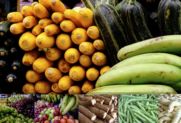 Los precios de los alimentos que están dentro del grupo de controlados por el gobierno siguieron mostrando grandes fluctuaciones durante junio y a lo largo de la cuarentena, según el reporte del Dane. Foto: dane.gov.co Dane, control de precios, alimentos, papa negra, cebolla cabezona, leche larga vida, queso campesino, huevo, cosecha, oferta y demanda, Caldas, Bogotá, Meta, plazas de mercado, centrales mayoristas, ganadería, ganadería colombia, noticias ganaderas colombia, contexto ganadero.