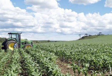 De acuerdo al experto, el sector agropecuario y sus producciones seguirán manteniendo buenos niveles, por lo que es importante aprovechar las circunstancias actuales. Foto: agronegocios.uniandes.edu.co Ganadería, ganadería colombia, noticias ganaderas, noticias ganaderas colombia, CONtexto ganadero, consumo, consumo carne, consume leche, consumo carne y leche en colombia, tendencias de mercado, tendencias de mercado de carne, tendencias de mercado de leche, ganaderos, ganaderos colombia, tendencias de mercado en colombia