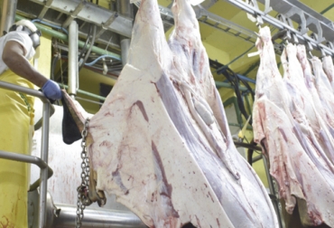 El sacrificio de ganado también cayó en la misma proporción en el segundo mes de la cuarentena. Foto: frigotec.com.co Cifras sacrificio ganado bovino mayo 2020, Sacrificio de ganado 2020, sacrificio bovino 2020, sacrificio mayo 2020, cifras sacrificio, sacrificio legal de bovinos, sacrificio formal, sacrificio colombia, sacrificio bovino Colombia, encuesta sacrificio ganado 2020, Cifras sacrificio bovino Colombia 2020, sacrificio bovino Colombia 2020, coronavirus, coronavirus Colombia, COVID-19, cuarentena, Ganadería, ganadería colombia, noticias ganaderas, noticias ganaderas colombia, CONtexto ganadero