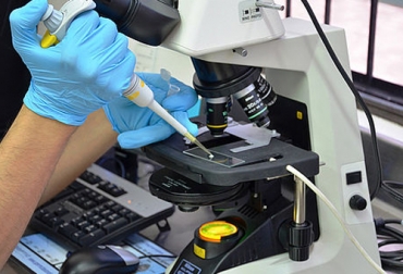 Un diluyente para la preservación del semen animal desarrollado por profesores colombianos obtuvo patente en Europa y ahora se prepara para su exportación. Foto: Agencia de Noticias Universidad Nacional Diluyente, preservación, semen, patente, invención, espermatozoides, criopreservación, material genético, inseminación artificial, transferencia de embriones, biotecnología reproductiva, congelación, animales, Ganadería, ganadería colombia, noticias ganaderas colombia, CONtexto ganadero
