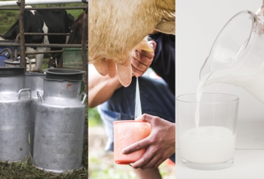 Este mecanismo involucra aportes de ganaderos, industria y gobierno para estimular consumo en estratos bajos. Foto: Designed by Dashu83 / Freepik / Freepik.es - lapatria.com fondo tripartita leche colombia, fondo tripartita para producción de leche, Productores de leche, consumo leche colombia, precio de la leche, recolección de leche en Colombia, industria de la leche, medidas industriales de la leche, Cámara Gremial de la Leche, coronavirus, coronavirus Colombia, COVID-19, cuarentena, Ganadería, ganadería colombia, noticias ganaderas, noticias ganaderas colombia, CONtexto ganadero