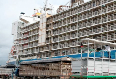 “El grupo que promueve el proyecto no conoce la realidad de lo que pasa en los barcos que zarpan desde Colombia”, Miguel Dulcey. Foto: eluniversal.com.co “No desconocer el esfuerzo de admisibilidad en la apertura de mercados”: Miguel Dulcey, proyecto de ley, Cámara de Representantes, prohibir exportación marítima de ganado en pie, actividad en crecimiento permanente, calidad de ganado, bienestar animal, exposición de motivos, realidad de los barcos, pruebas que sustenten, situación de los barcos, exposición de motivos, noticias de ganadería colombiana, CONtexto ganadero.