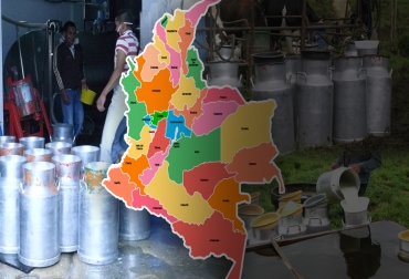 El acopio de leche por parte de empresas formales ha mejorado, pero solo corresponde al 50 % de la producción total de leche en el país. Foto: Fedegán - CONtextoganadero.com precios leche, precio litro de leche por departamento Colombia, precios leche Colombia 2020, precio pagador al productor de leche, precio de la leche por litro Colombia 2020, precio de la leche en colombia 2019, precio leche cruda 2020, litro de leche precio, precio de leche cruda en colombia 2020, coronavirus, coronavirus Colombia, COVID-19, cuarentena, Ganadería, ganadería colombia, noticias ganaderas, noticias ganaderas colombia, CONtexto ganadero