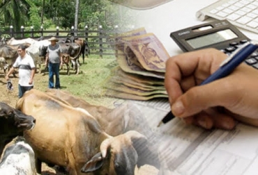 La propuesta evidencia que desde el Observatorio no se conoce la parafiscalidad y otros impuestos que pagan los productores. Foto: Unipymes - El Universal Ganadería, ganadería colombia, noticias ganaderas, noticias ganaderas colombia, CONtexto ganadero, impuestos, impuestos a la ganadería, gravar la ganadería, Observatorio Fiscal de la Universidad Javeriana, Miguel Ángel Lacouture, gases de efecto invernadero, Miguel Ángel Lacouture columnista, propuesta ganadería Observatorio Fiscal de la Universidad Javeriana