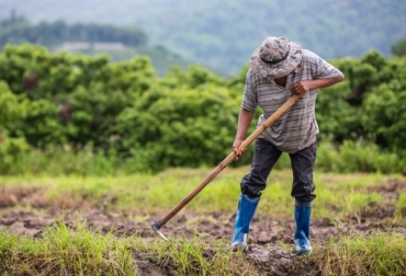 A partir del 31 de julio se habilitará el mecanismo de registro e inscripción de productores al programa de apoyo a pequeños productores en la adquisición de insumos agropecuarios. Foto: Creada por jcomp / Freepik.es Ganadería, ganadería colombia, noticias ganaderas, noticias ganaderas colombia, CONtexto ganadero, Ministerio de Agricultura a través de la Resolución 169 de 2020, Resolución 169 de 2020 insumos agropecuarios, auxilio para insumos, COVID-19, precio de los insumos 2020, Ministerio de Agricultura, beneficios resolución 169 ministerio de agricultura