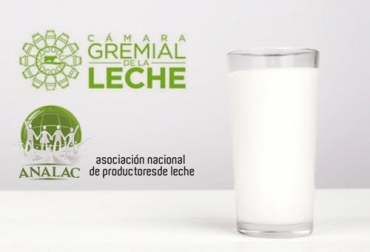 Ambas entidades rechazaron las medidas adoptadas por la industria láctea. Foto: freepik - cortesía. Ganadería, ganadería colombia, noticias ganaderas, noticias ganaderas colombia, CONtexto ganadero, precio de la leche, recolección de leche en Colombia, industria de la leche, medidas industriales de la leche, Cámara Gremial de la Leche, Analac