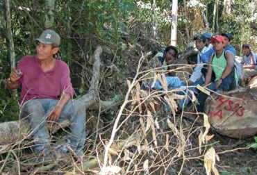 El manejo forestal comunitario es una de las estrategias del Ministerio de Ambiente para tratar de combatir la deforestación en Colombia que durante la pandemia ha venido en aumentó. Foto: foo.org deforestación, reforestación, manejo forestal comunitario, carreteras, AMAZONía, tala, bosques, madera, MinAmbiente, cooperación internacional, manejo forestal sostenible, mercados, conocimiento, Ganadería, ganadería colombia, noticias ganaderas colombia, CONtexto ganadero