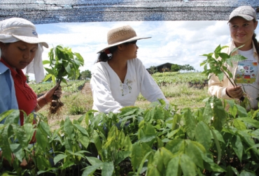 Gracias a una alianza entre el Ministerio de Agricultura y la Sociedad de Agricultores, se apoyará el emprendimiento de la mujer rural para que sean empresarias. Foto: elcampesino.co Mujer Rural, equidad, Minagricultura, SAC, convenio, vicepresidencia, emprendimiento, Empresarización, financiamiento, tasas de interés, Asistencia técnica, capacitación, Proyectos productivos, comercialización, Ganadería, ganadería colombia, noticias ganaderas colombia, CONtexto ganadero