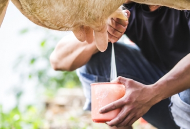 “Nuestra producción láctea es en general minifundista”, sostuvo Carlos Jairo Gómez. Foto: Creado por Dashu83 / Freepik.es “Nuestra producción láctea es en general minifundista”, sostuvo Carlos Jairo Gómez.