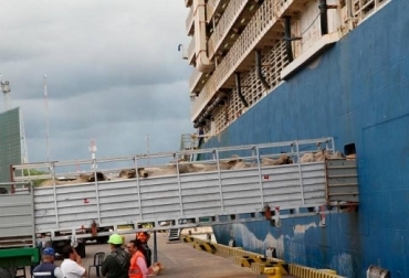 La empresa Expoganados Internacional, considerada la de mayor trayectoria del comercio exterior ganadero, es una vez más, la protagonista de estas negociaciones. Foto: Eluniversal.com.co ¿Por qué prohibir la exportación de ganado en pie es inadmisible económicamente?, reglamento internacional de transporte, OIE, inspección del ICA, no exportan ovejas, denuncias falsas, maltrato animal, heces fecales, eventos de Australia, recalcó, afecta economía ganadera, generación de ingresos, calidad del producto, demanda de ganado en pie, calidad aceptada en mercados, Medio Oriente, noticias de ganadería colombiana, CONtexto ganadero.