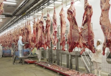 En el segundo trimestre del 2020, este rubro se vio afectado por una caída en la demanda como consecuencia de la cuarentena. Foto: agriculturayganaderia.com Cifras sacrificio ganado bovino junio 2020, Sacrificio de ganado 2020, sacrificio bovino 2020, sacrificio mayo 2020, cifras sacrificio, sacrificio legal de bovinos, sacrificio formal, sacrificio colombia, sacrificio bovino Colombia, encuesta sacrificio ganado 2020, Cifras sacrificio bovino Colombia 2020, sacrificio bovino Colombia 2020, coronavirus, coronavirus Colombia, COVID-19, cuarentena, Ganadería, ganadería colombia, noticias ganaderas, noticias ganaderas colombia, CONtexto ganadero
