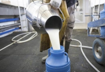 Según el experto, la industria se quejaba de problemas para acopiar la leche, pero en realidad quería disminuir el pago a los productores. Foto: Vanguardia Liberal acopio formal leche julio 2020, leche Colombia, compra leche, Acopio leche julio 2020 Colombia, producción leche, Acopio formal leche Colombia julio 2020, Acopio formal leche, recolección de leche en Colombia, producción leche Colombia 2020, precio leche cruda Colombia 2020, precio pagado al productor 2020, coronavirus, coronavirus Colombia, COVID-19, cuarentena, Ganadería, ganadería colombia, noticias ganaderas, noticias ganaderas colombia, CONtexto ganadero